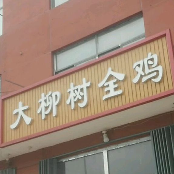 大柳树全ji