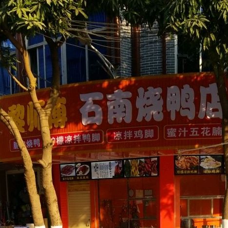 地址(位置,怎么去,怎么走):  广西兴业县石南镇商贸西路56号