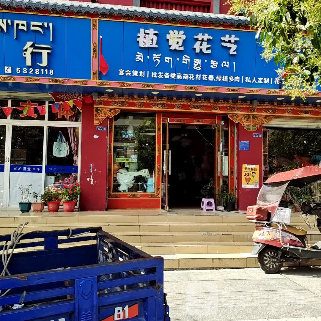 植觉花艺(八一大街店)