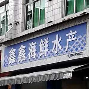 鑫鑫海新水产