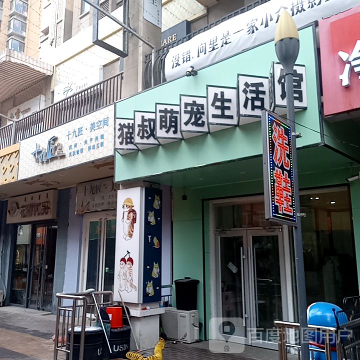 猫叔猫咪生活馆(万达广场乌海店)