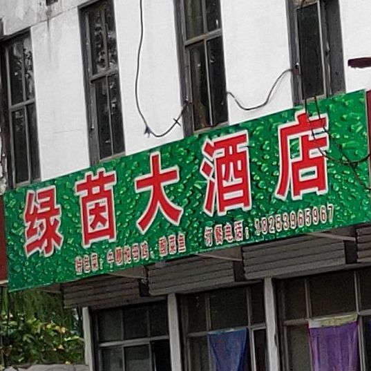 绿茵大九点