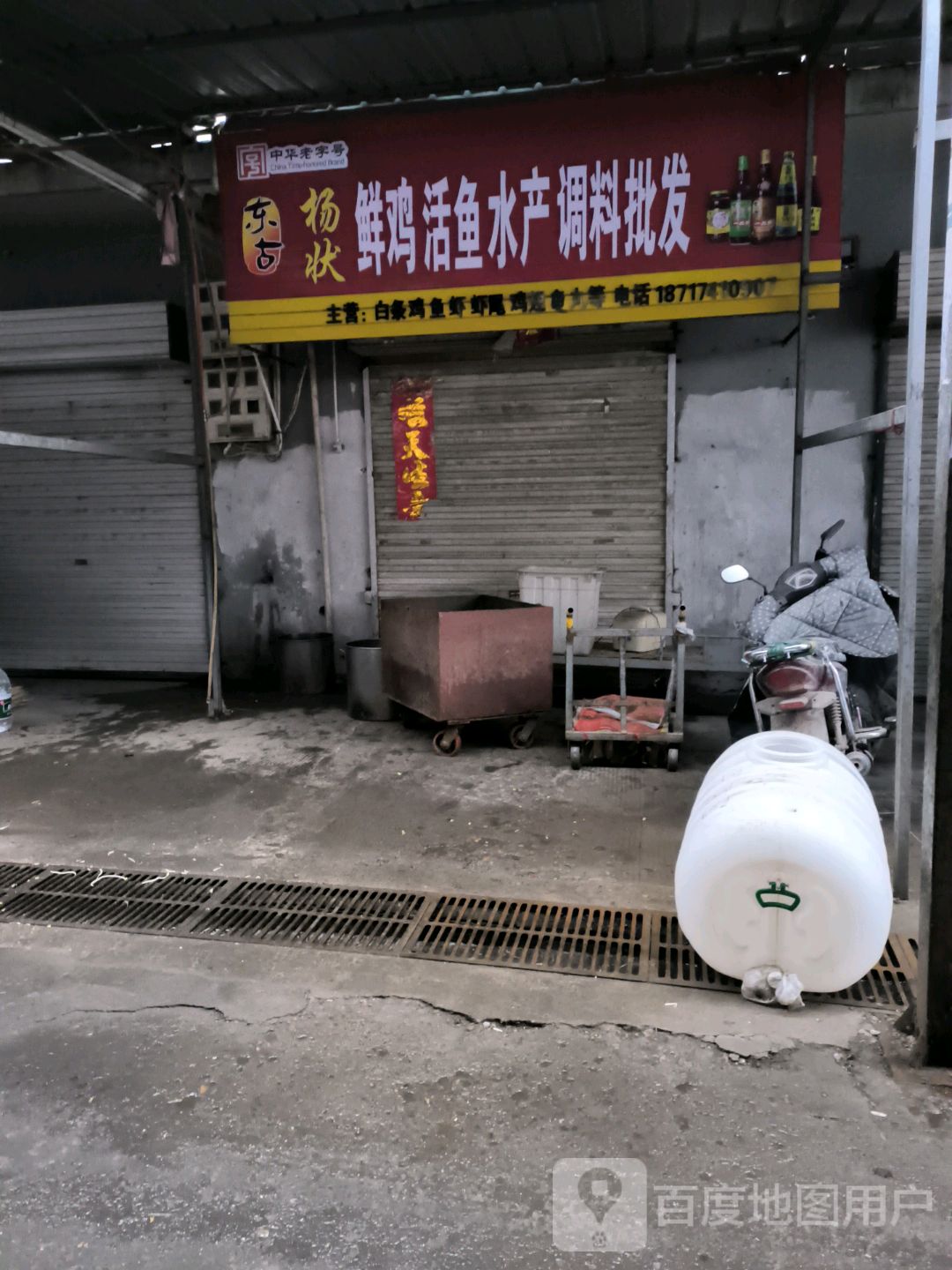 鲜鱼扑定杨鸡活垠状水产调料批发