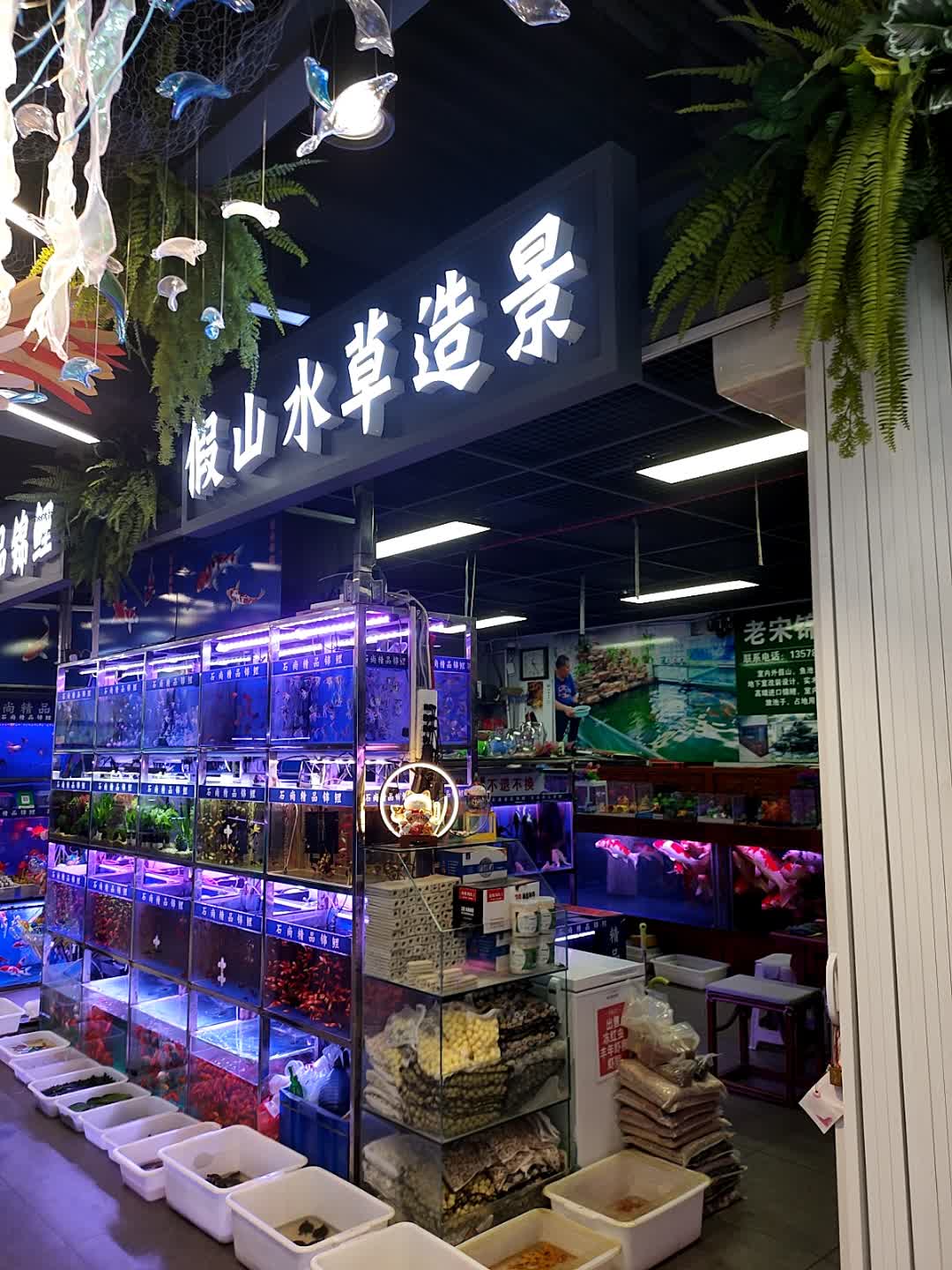 假山水草造景