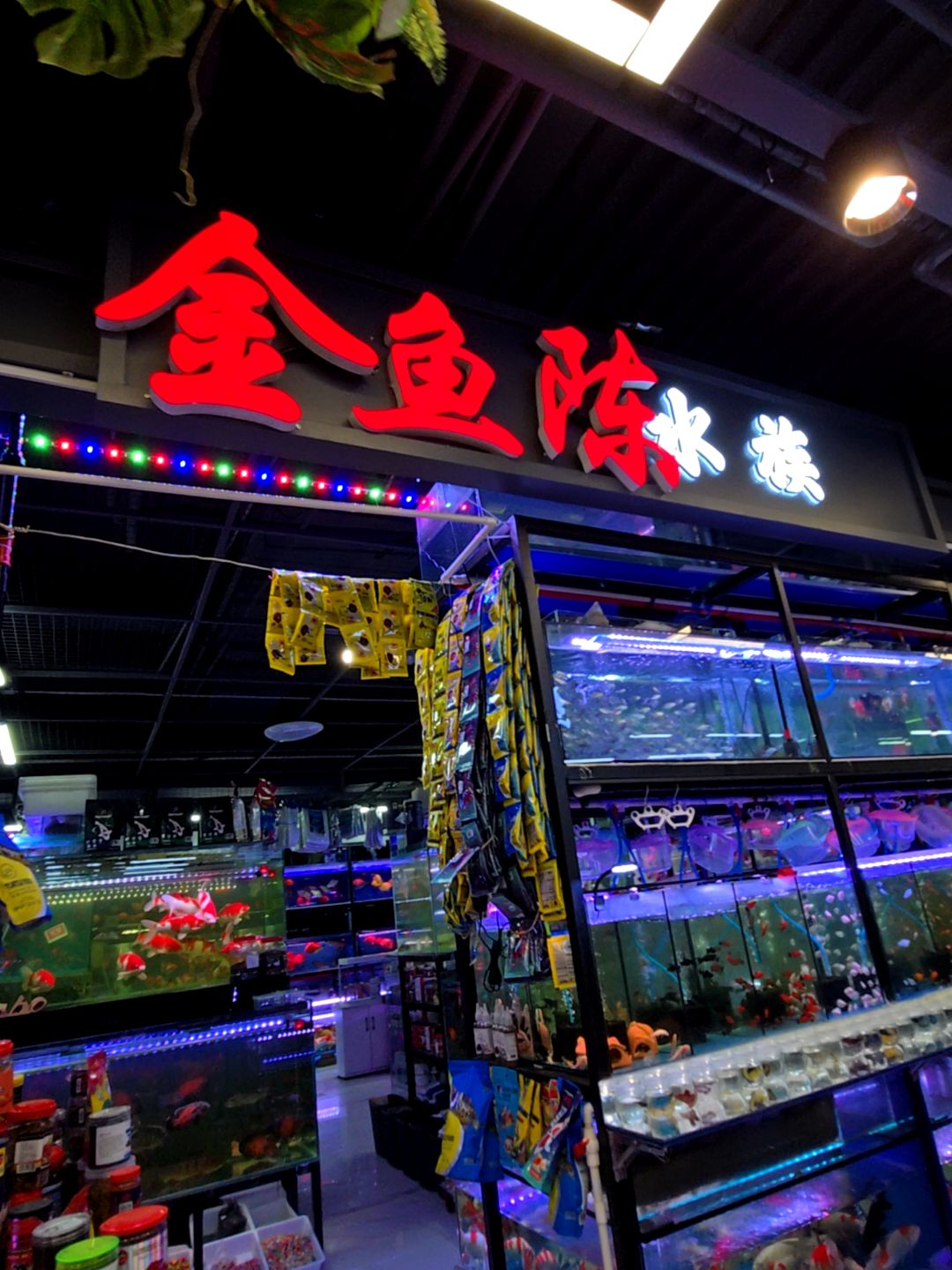 金鱼陈水族馆(二道区中东大市场店)