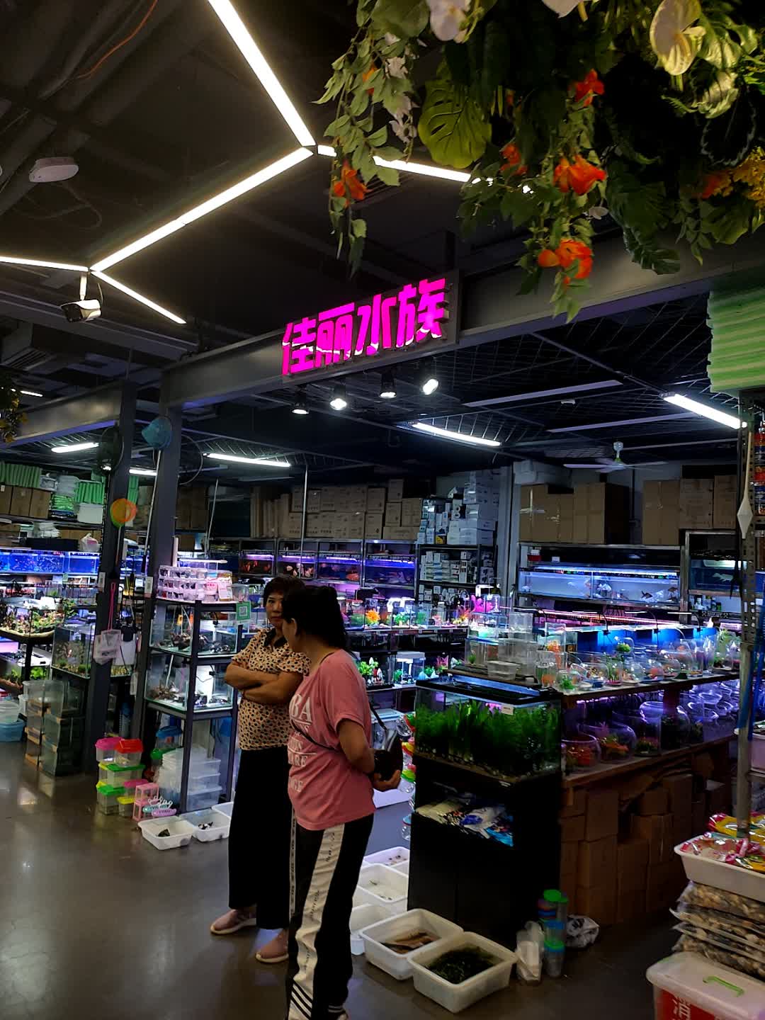 丽丽水族(中东大市场店)