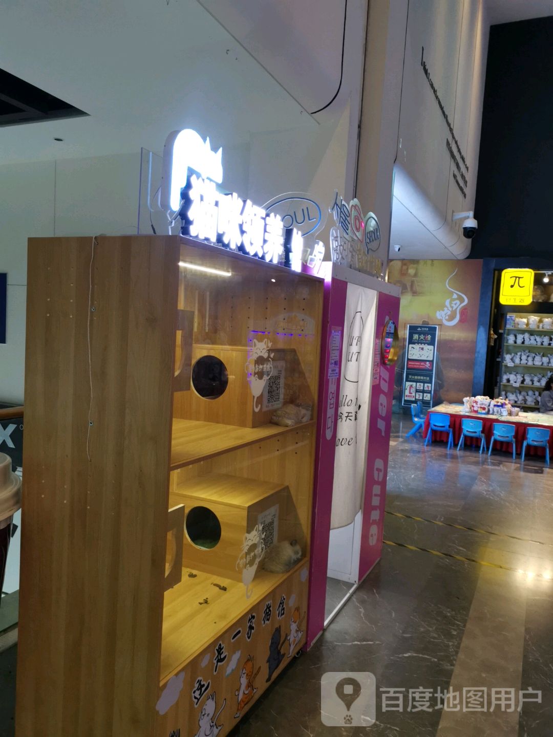 猫咪领养馆(万达广场乌鲁木齐经开店)