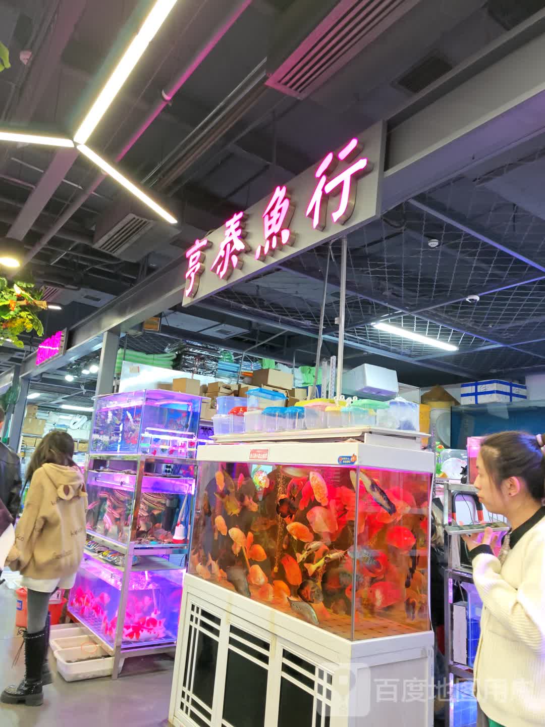 亨泰鱼行(长春中东大市场店)
