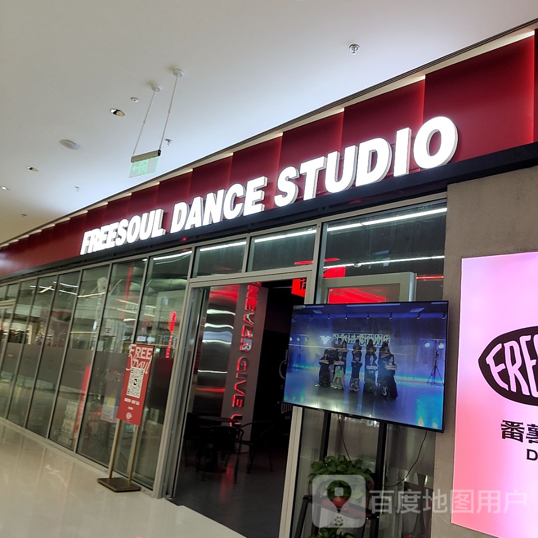 FREESOUL DANCE STUDIO(保定爱情广场朝阳南大街店)