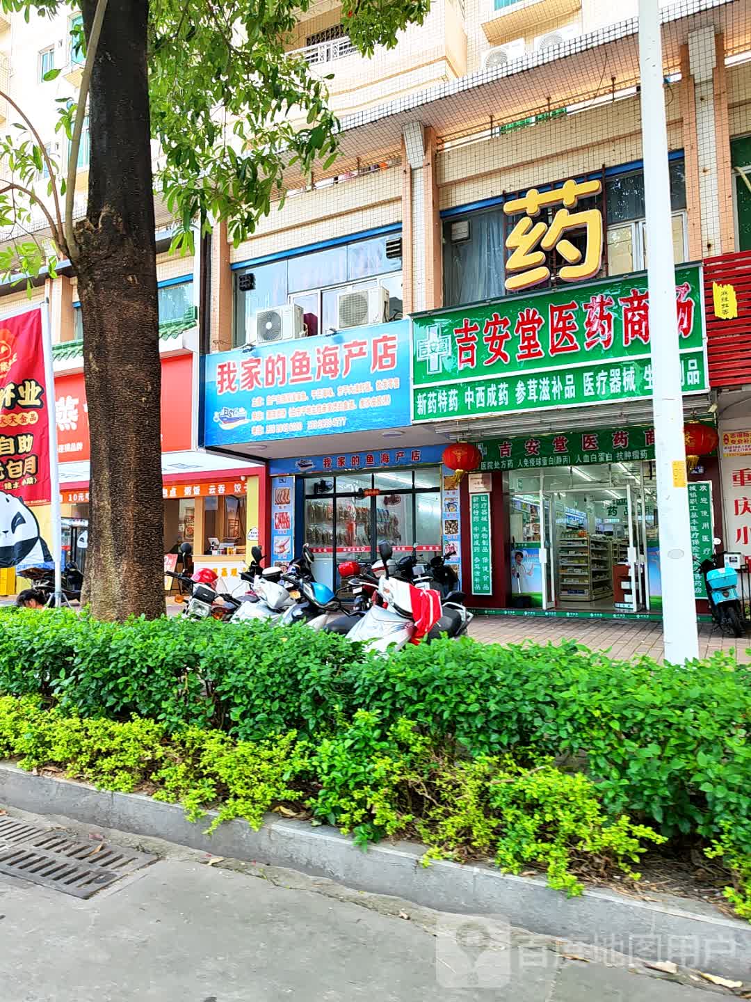 我家的鱼海产店