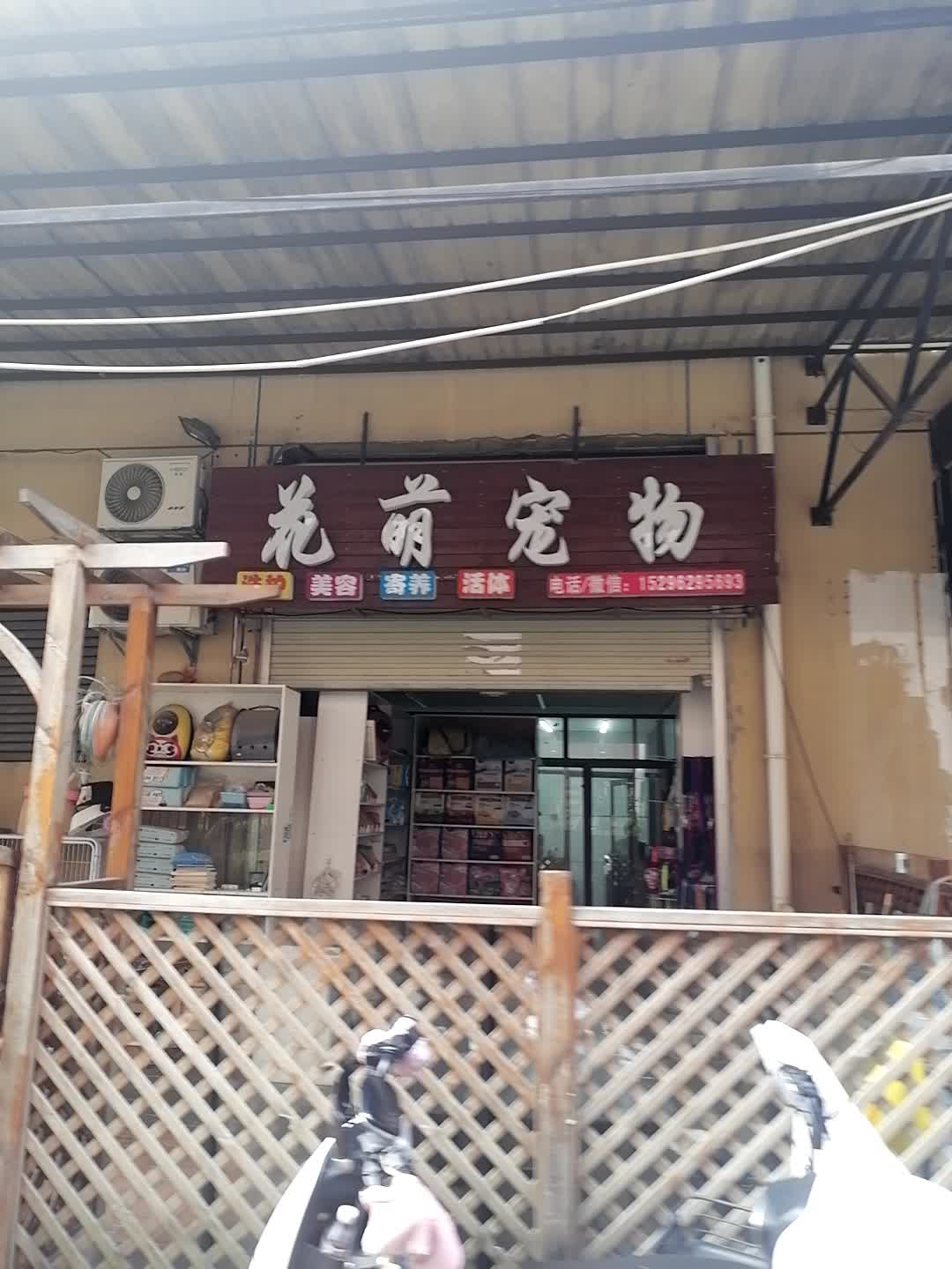 花萌宠物美容店(万达广场店)