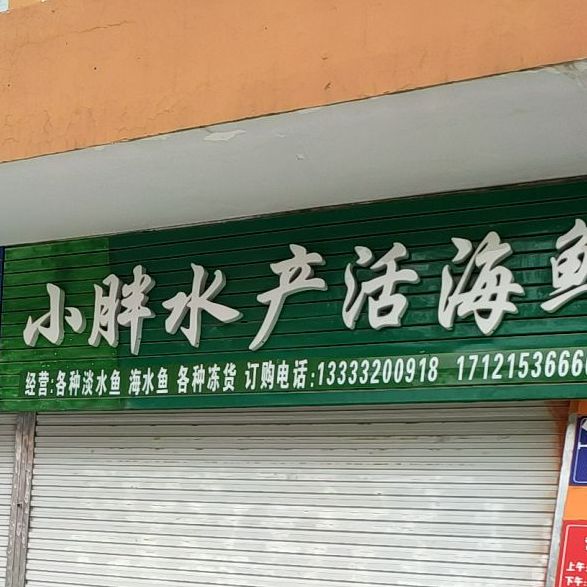 小胖水活鱼海鲜