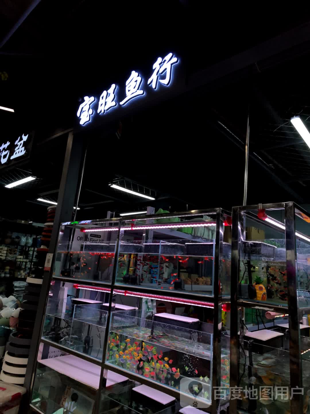 宝旺鱼行
