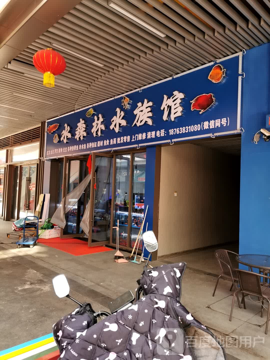 水森林水族馆(新泰吾悦广场店)