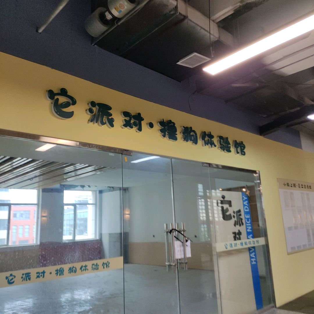 它派对·撸狗体验馆(悦汇时光颂艺术购物中心店)