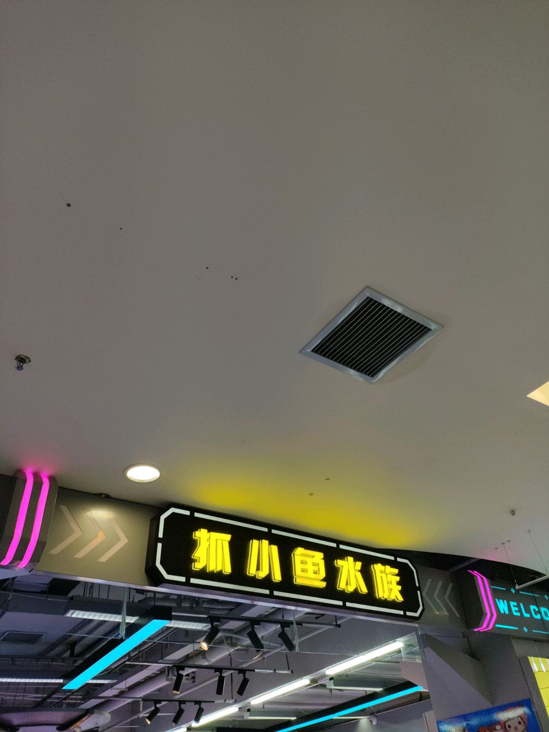 抓小鱼水族(朔州美都汇购物广场店)