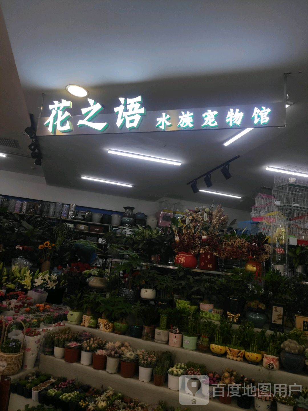 花之语水族宠物馆(辰兴购物公园店)