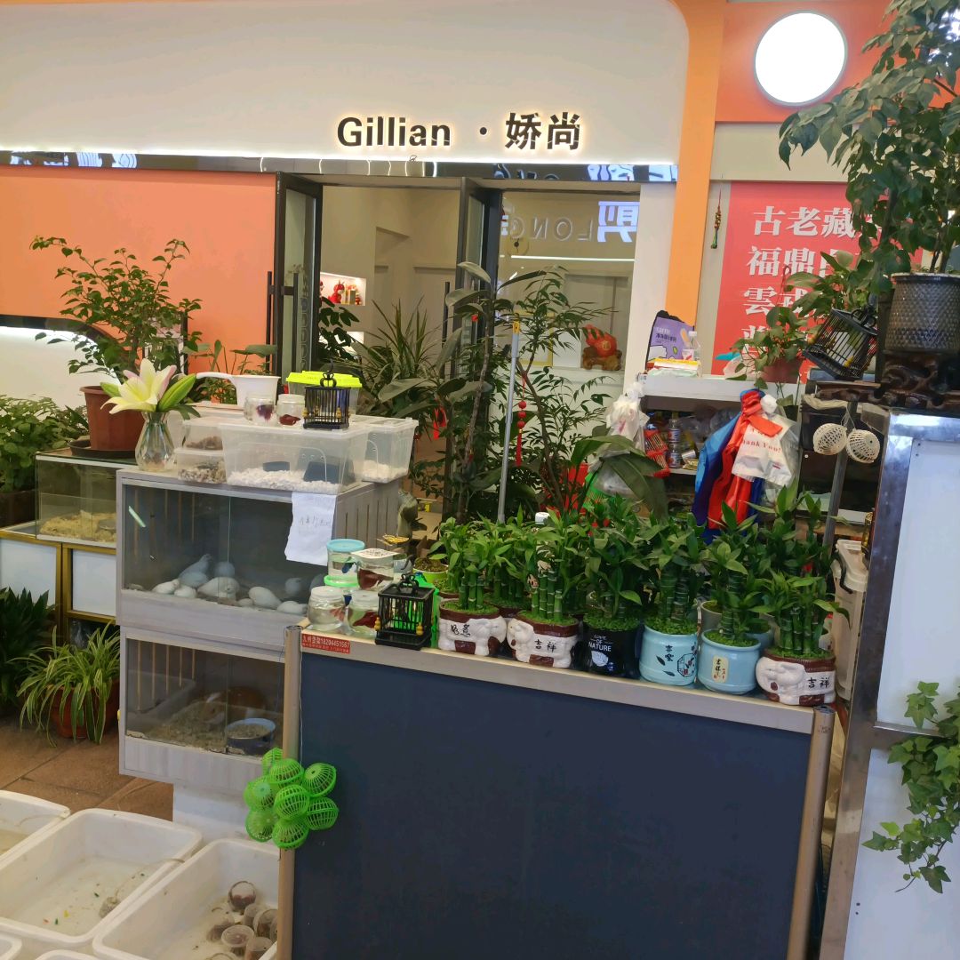 娇尚(中东新天地购物公园五环大街店)