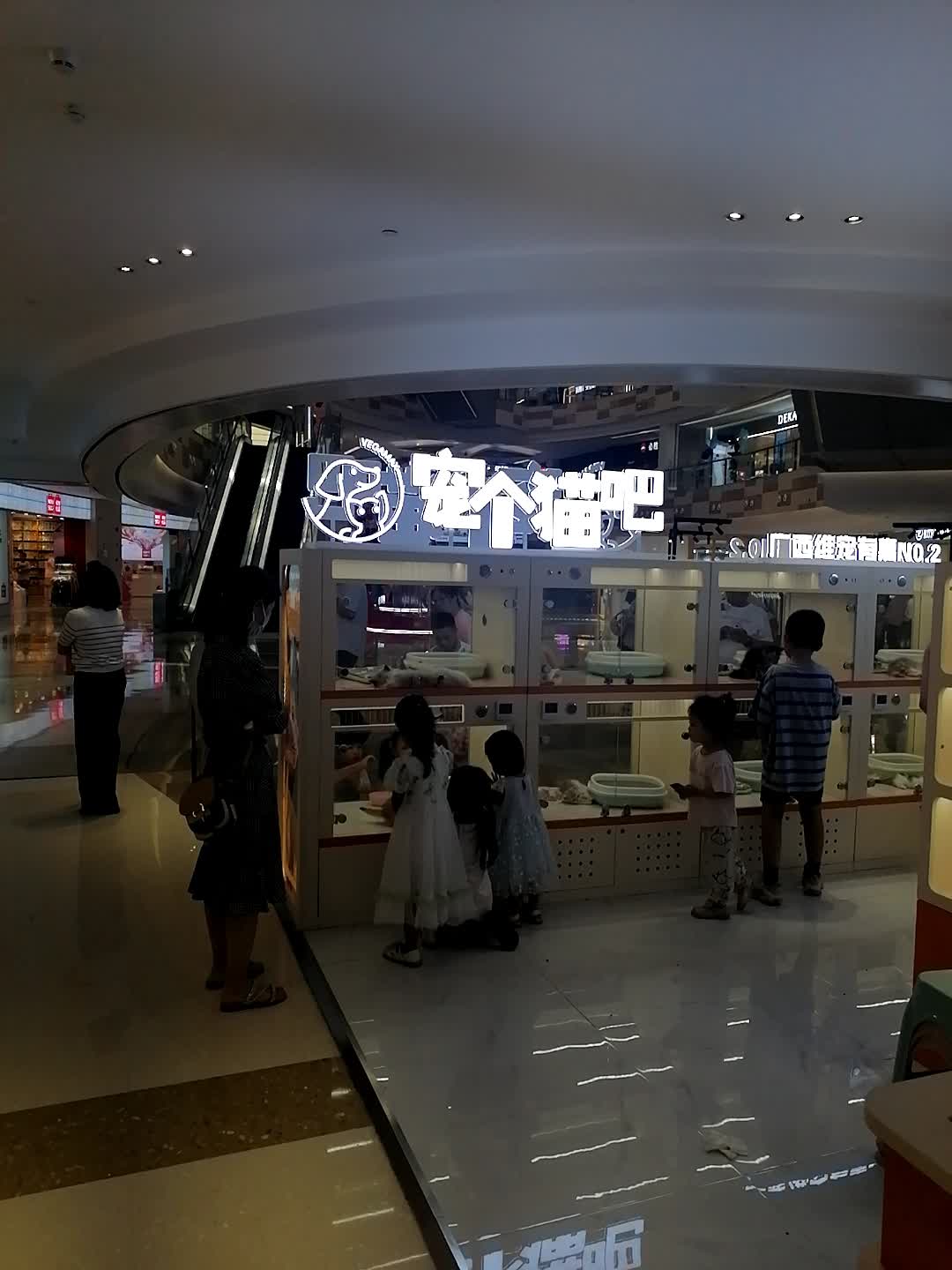 宠个喵吧(大唐天城购物中心店)