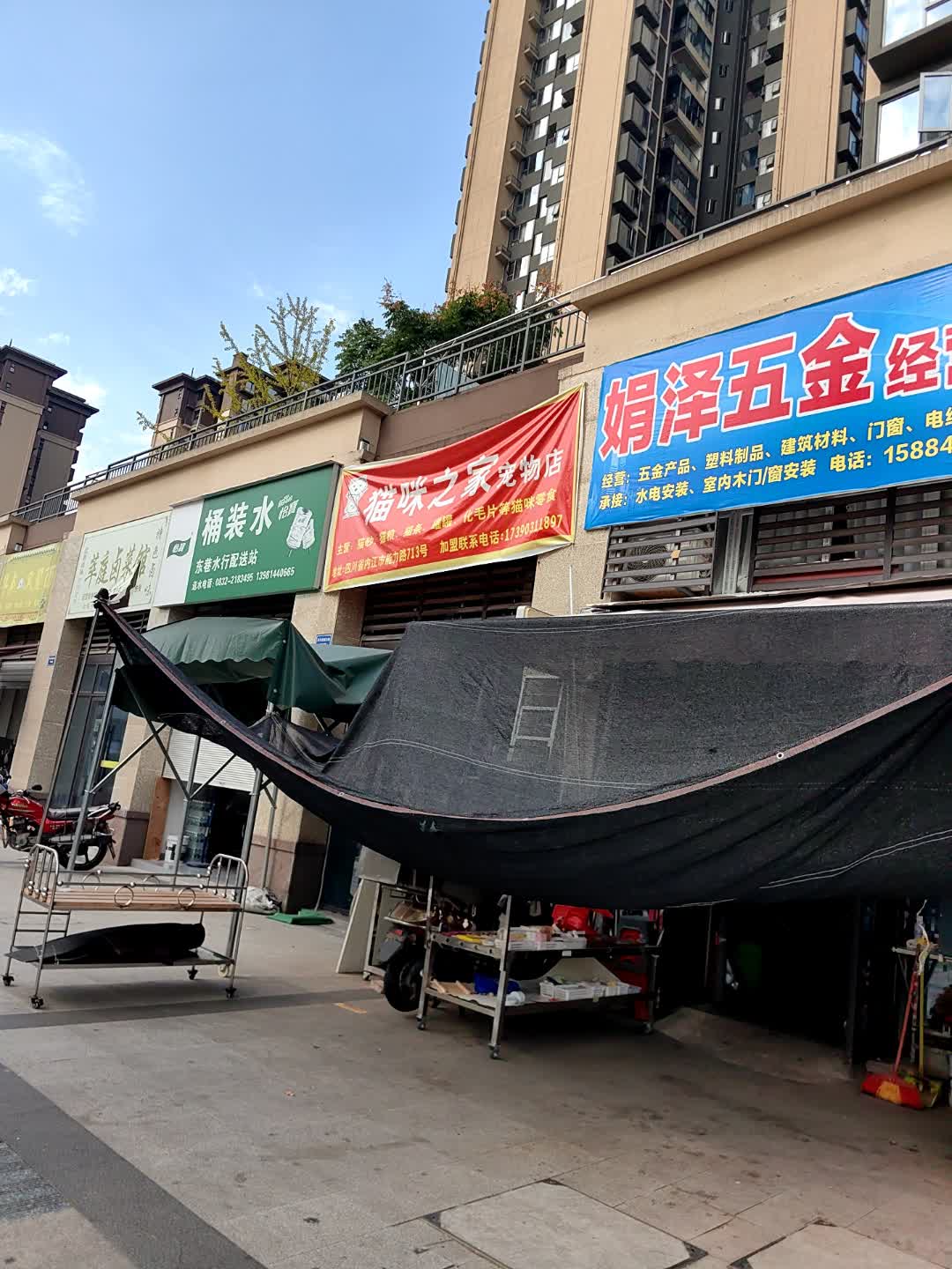 高新技术产业开发区猫咪之家宠物店