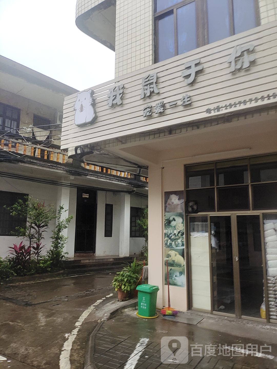 我鼠于你宠物店