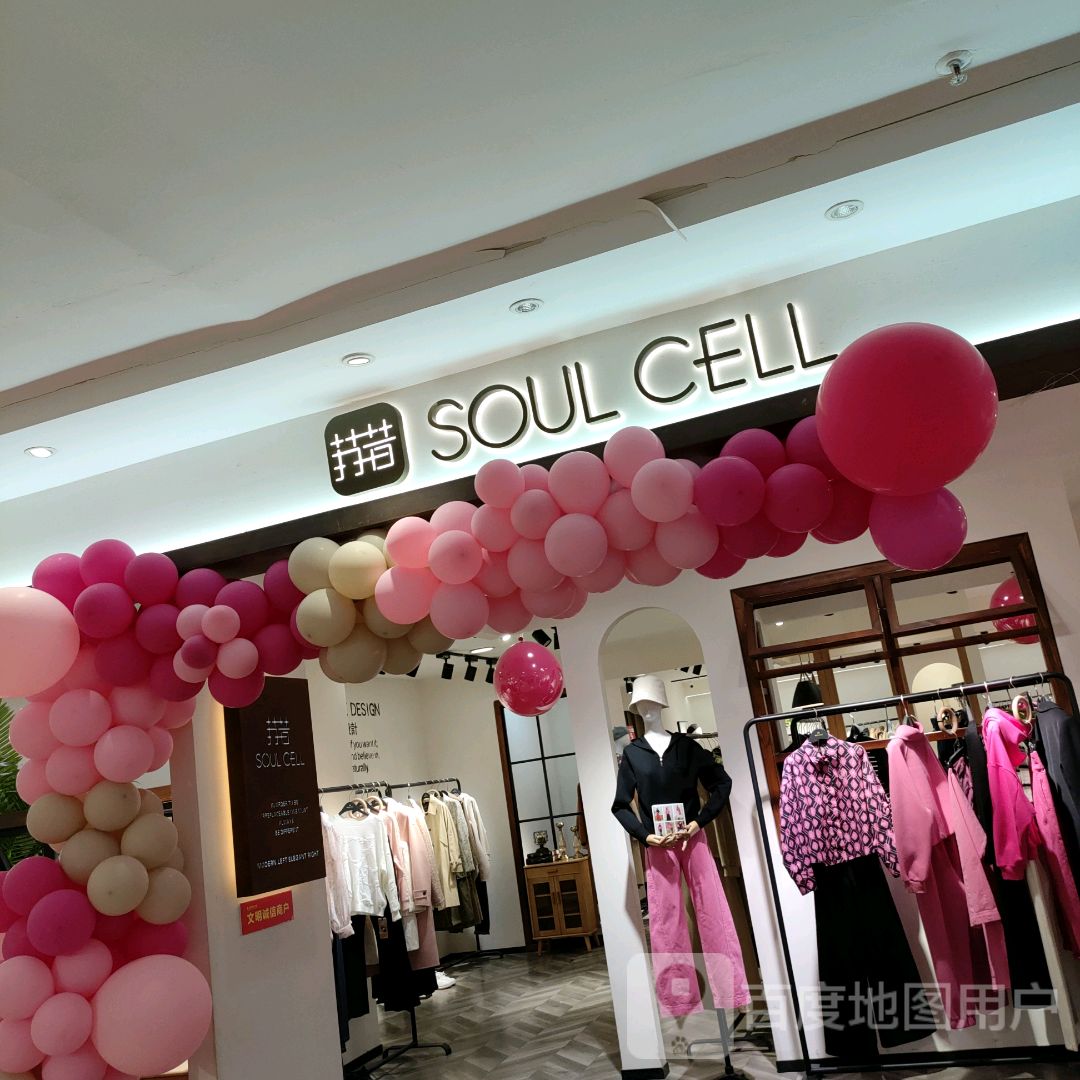 巩义市SOUL CELL