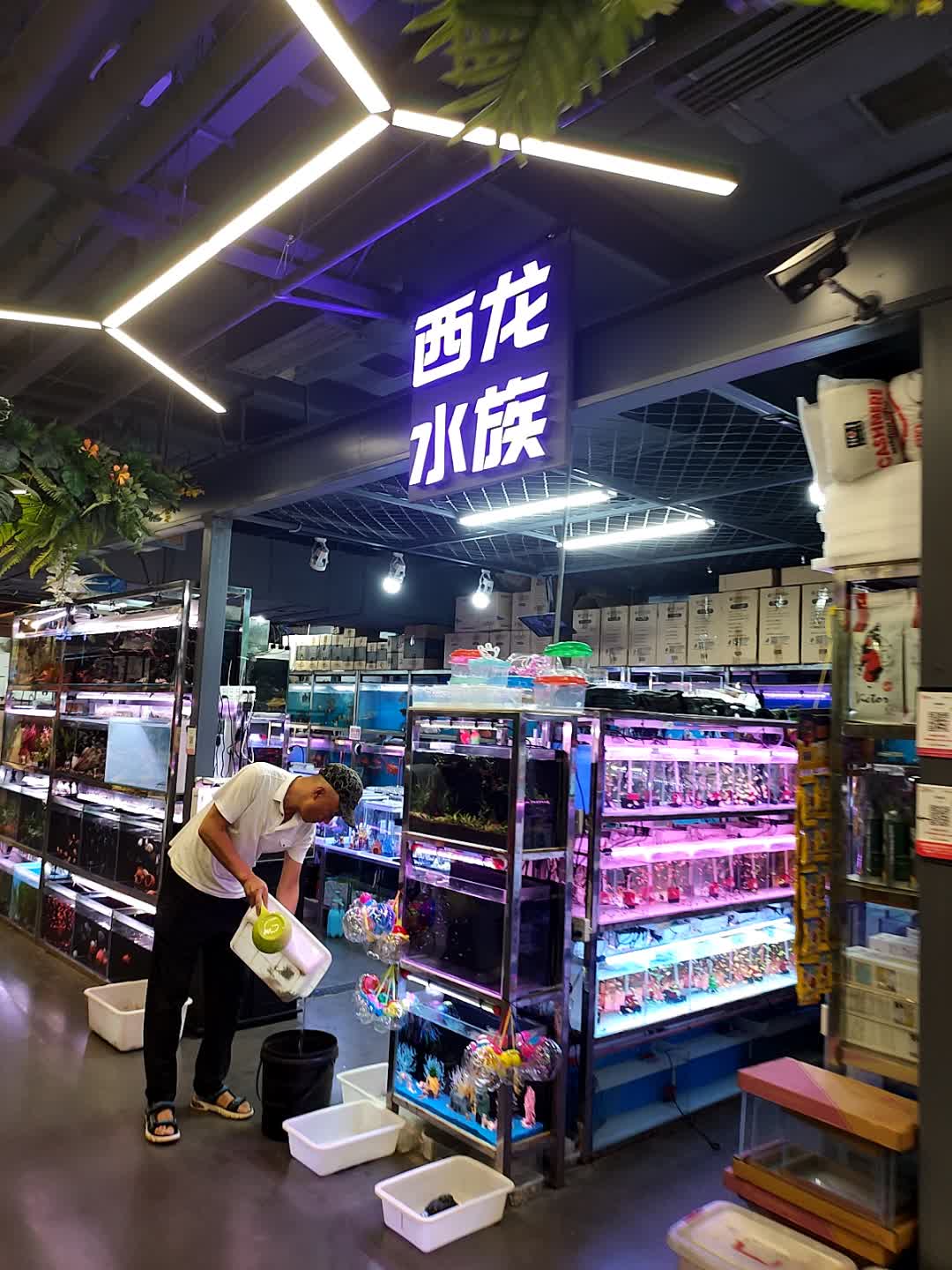 西龙水族(中东大市场店)