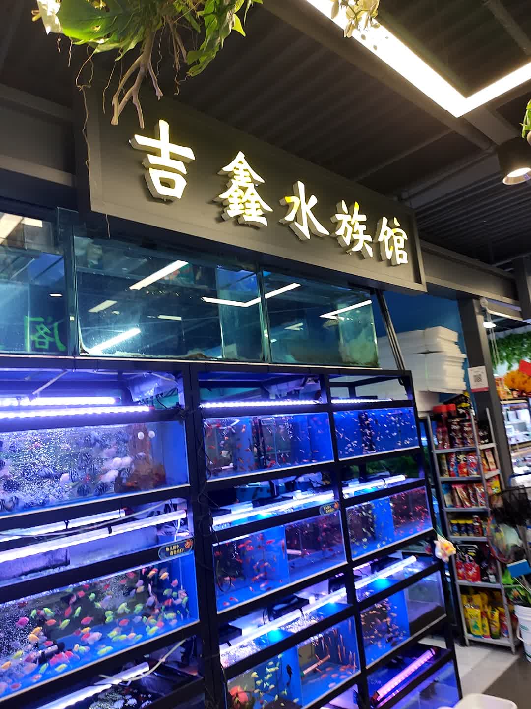 吉鑫水族馆(中东大市场店)