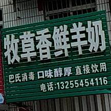 牧草香鲜羊奶