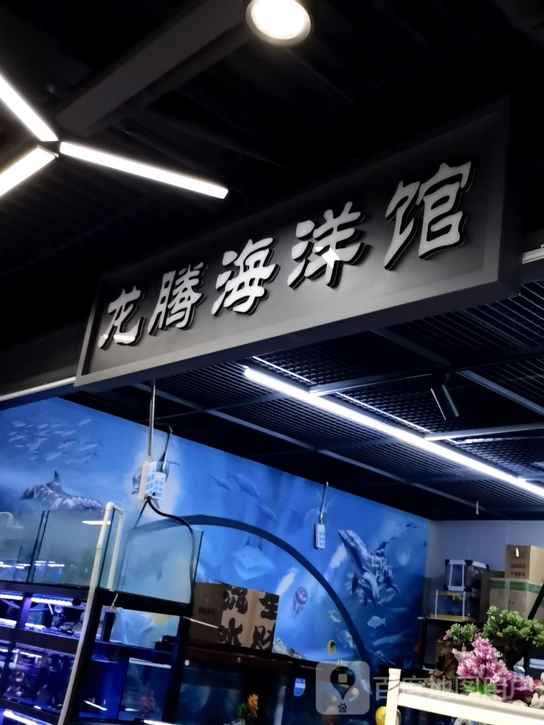 龙腾海洋馆