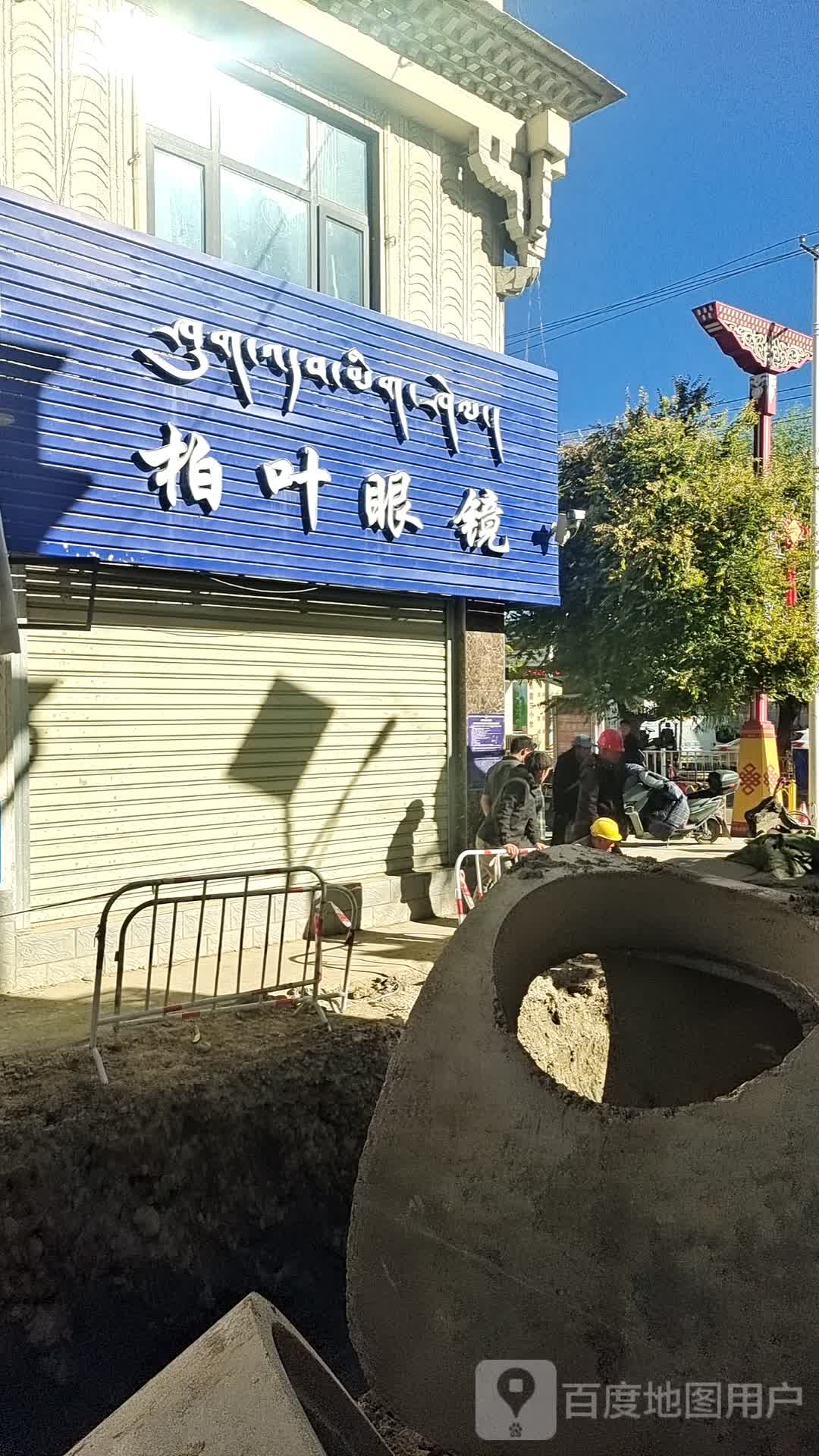 柏叶眼镜