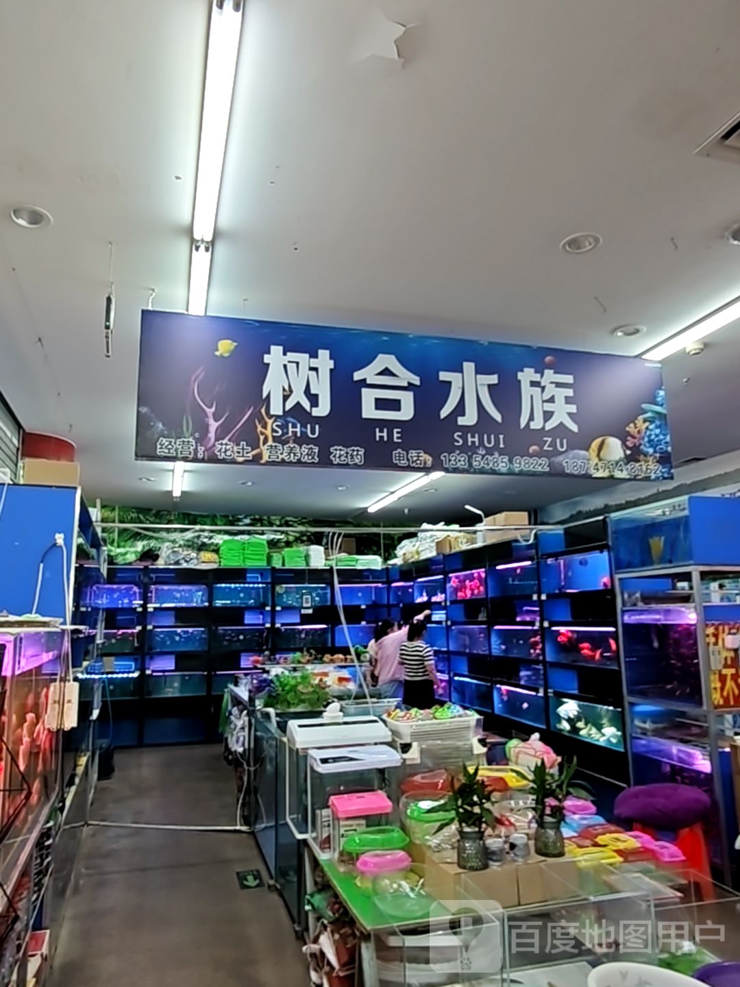 树合水族(赤峰海达广场店)