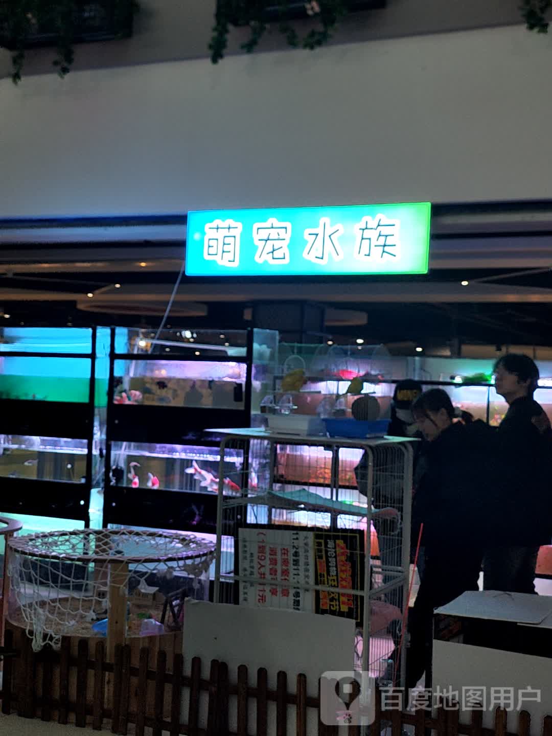 萌宠水族(盛京百货海伦大家庭店)