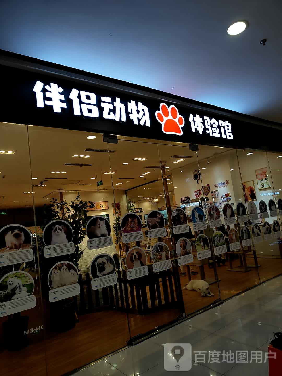 伴侣动物服务店(万达广场玉林玉州店)