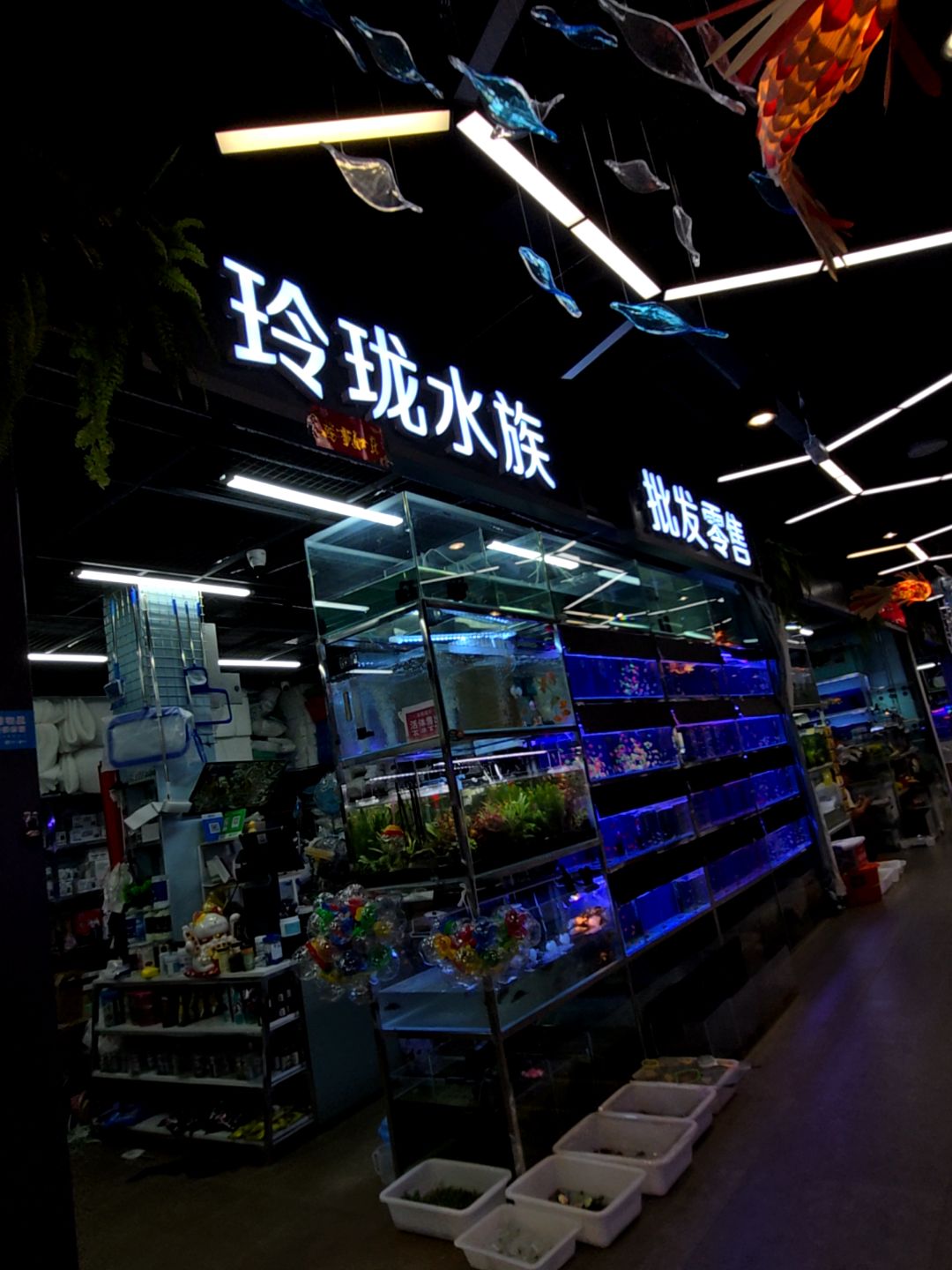 玲珑水族(经开区中东大市场店)