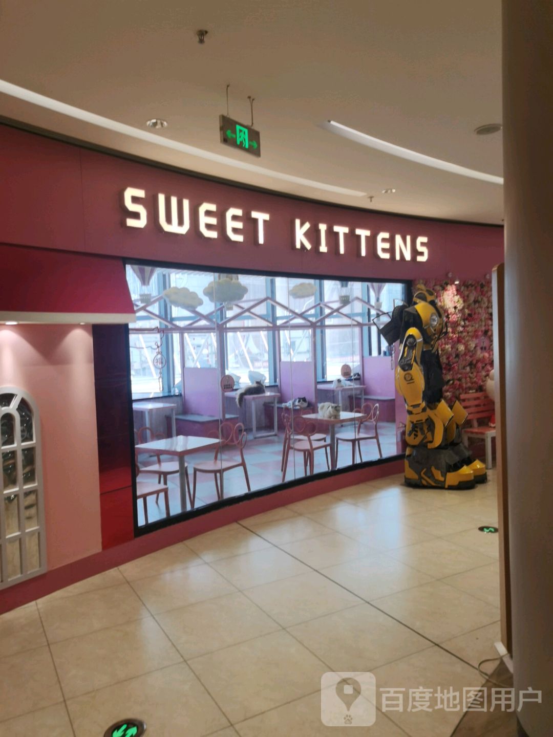 SWEET KITTENS(天赐未来城店)