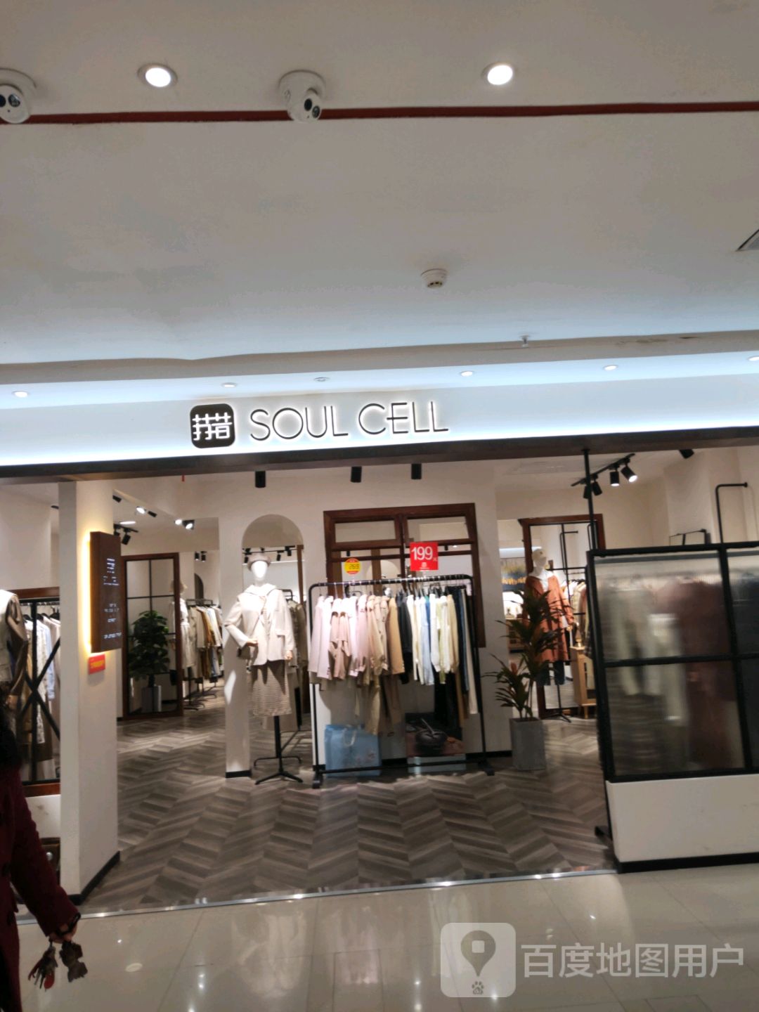 巩义市SOUL CELL