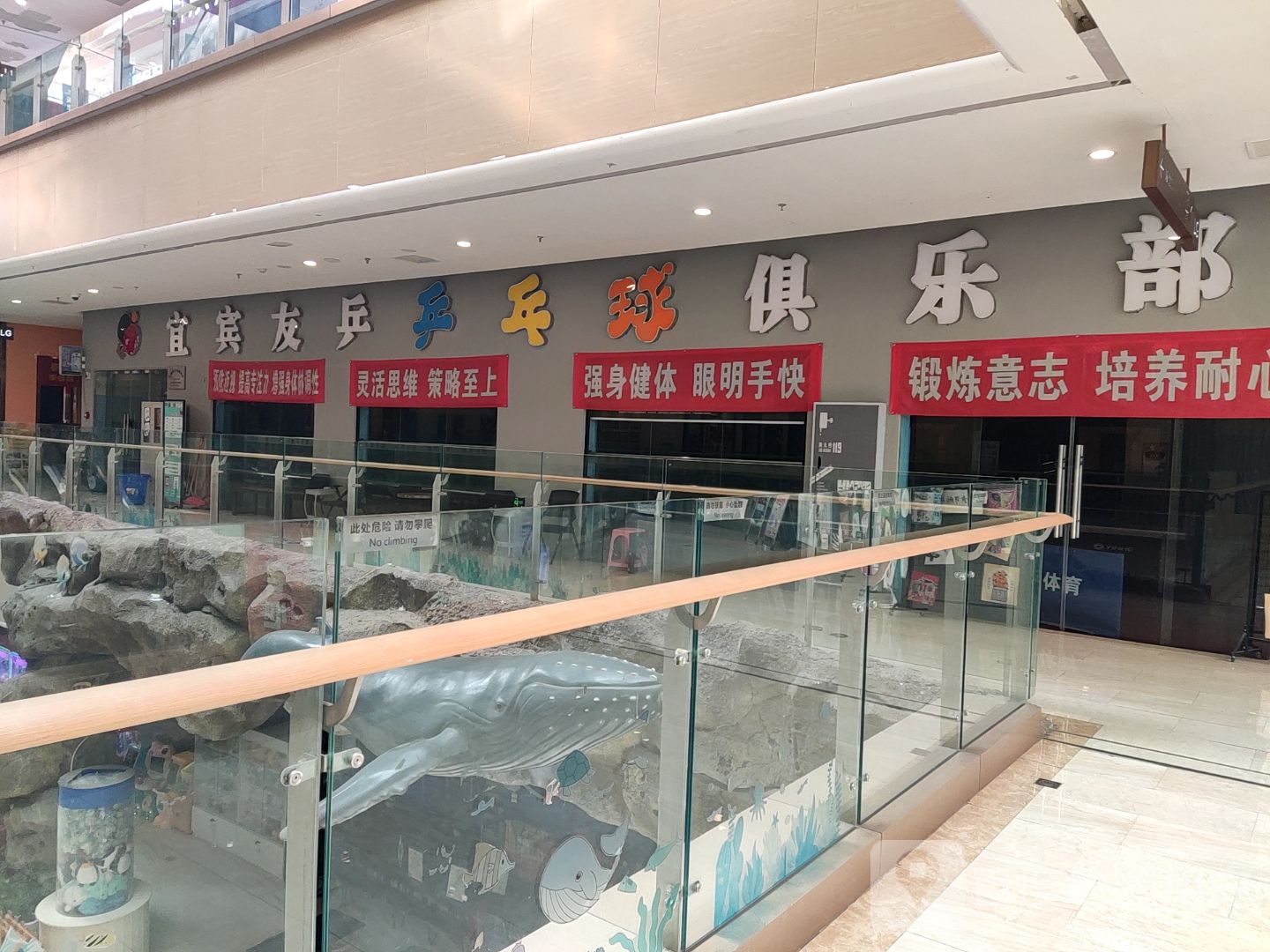 宜宾友乒乒乓球俱乐部(未来广场店)