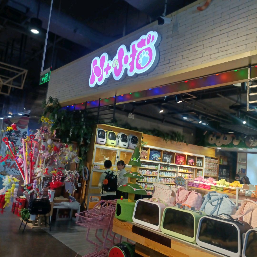 n+小猫(吉林财富购物广场店)