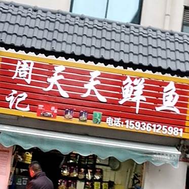 财记天天鲜鱼