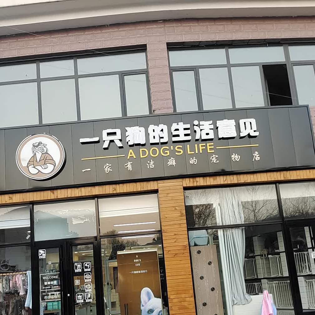 一只狗的生活意见(石洞子沟店)