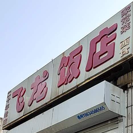 飞龙饭店(大众路店)