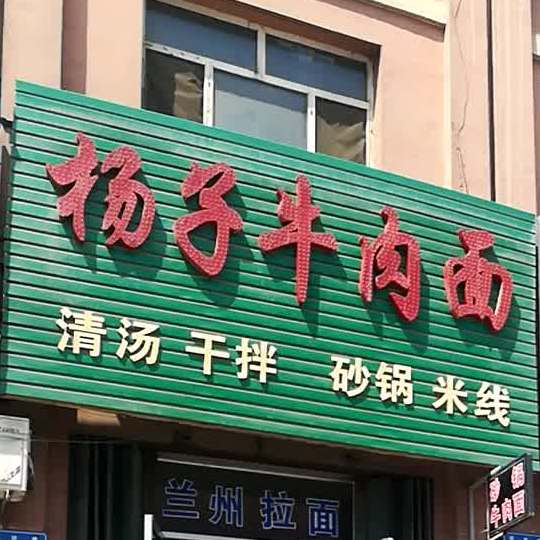 杨紫牛肉面(富强西街店)