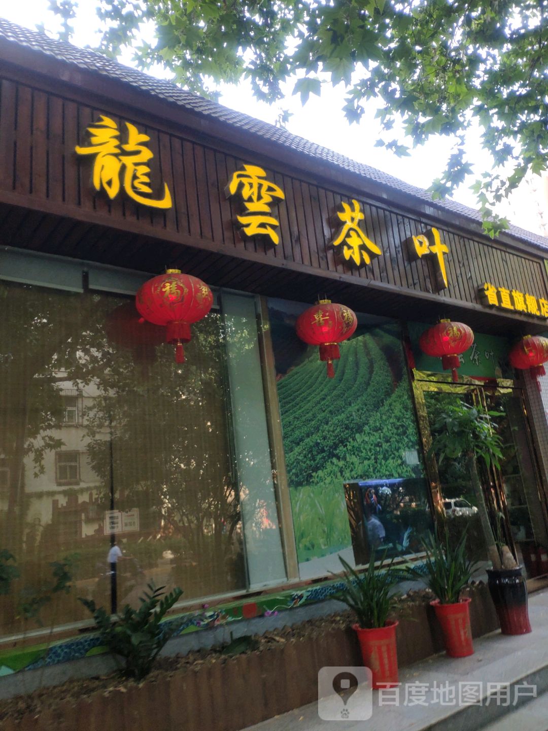 龙云茶叶(省直旗舰店)