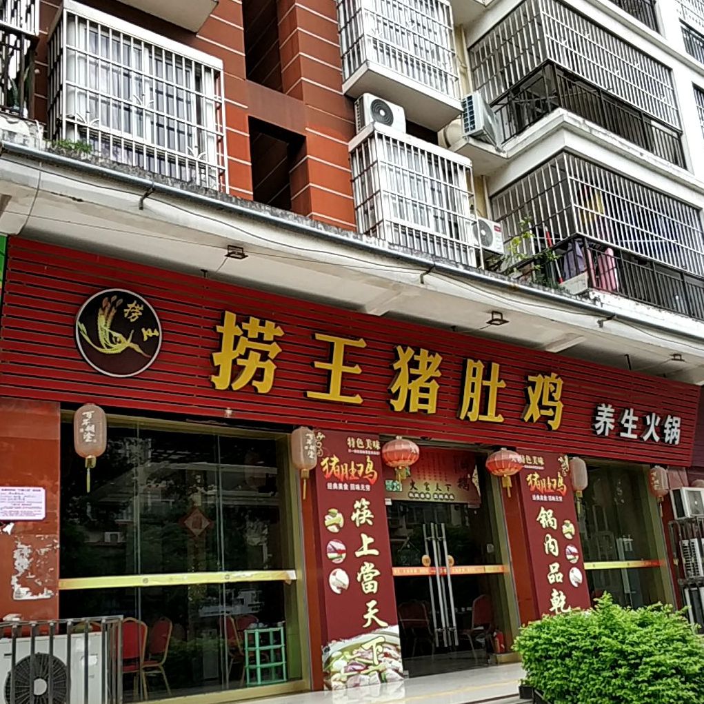 捞王猪肚鸡养生火锅