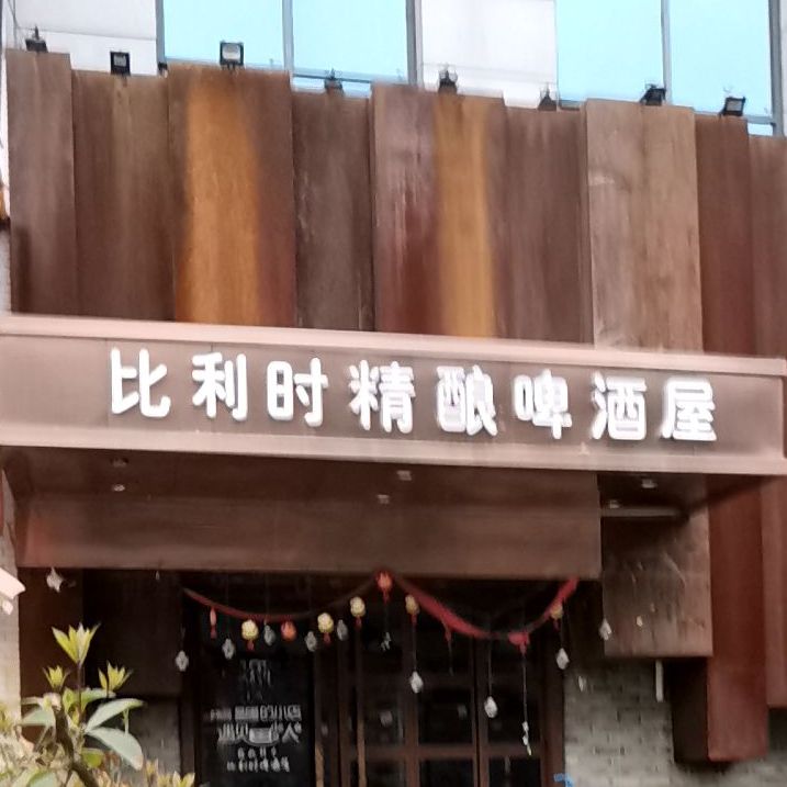 比利时精酿啤屋(世纪城店)