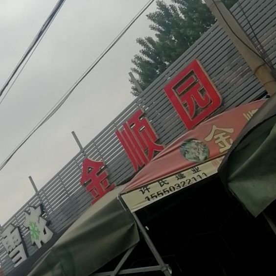 金顺园清真烧烤(清田苑店)