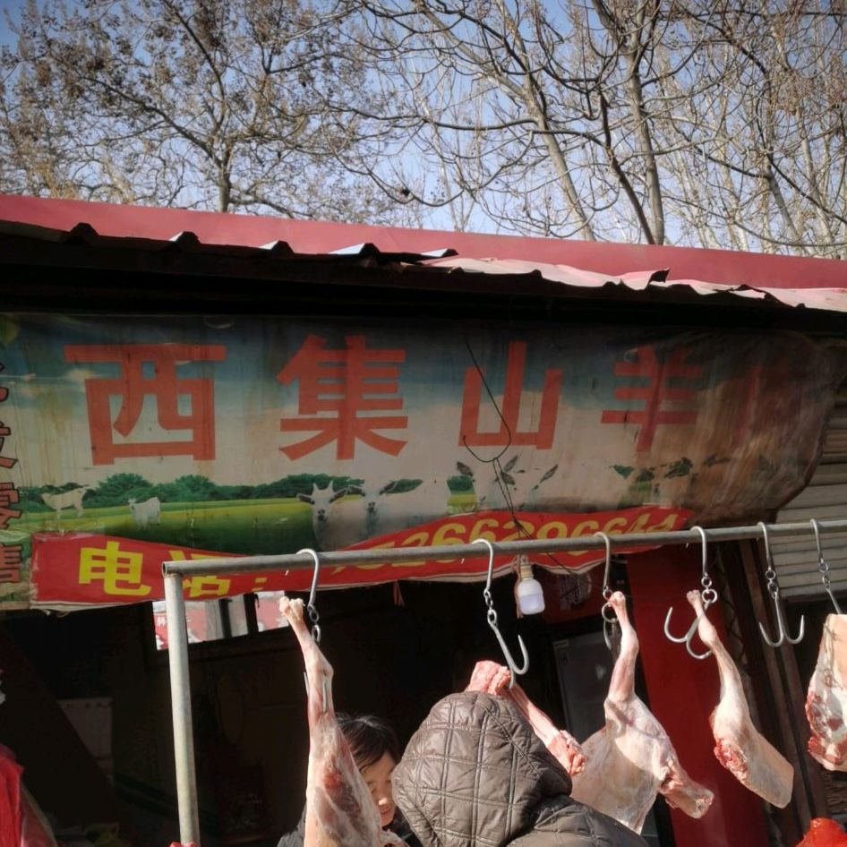 西集山肉羊