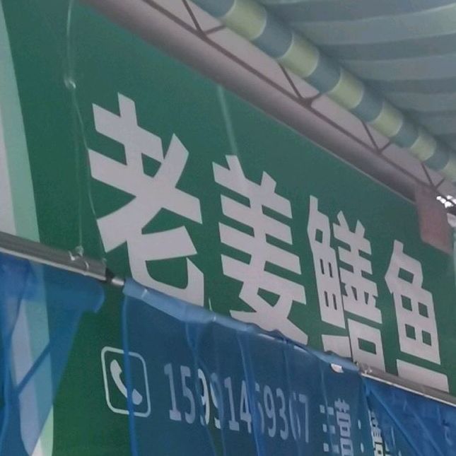 老姜蟮鱼
