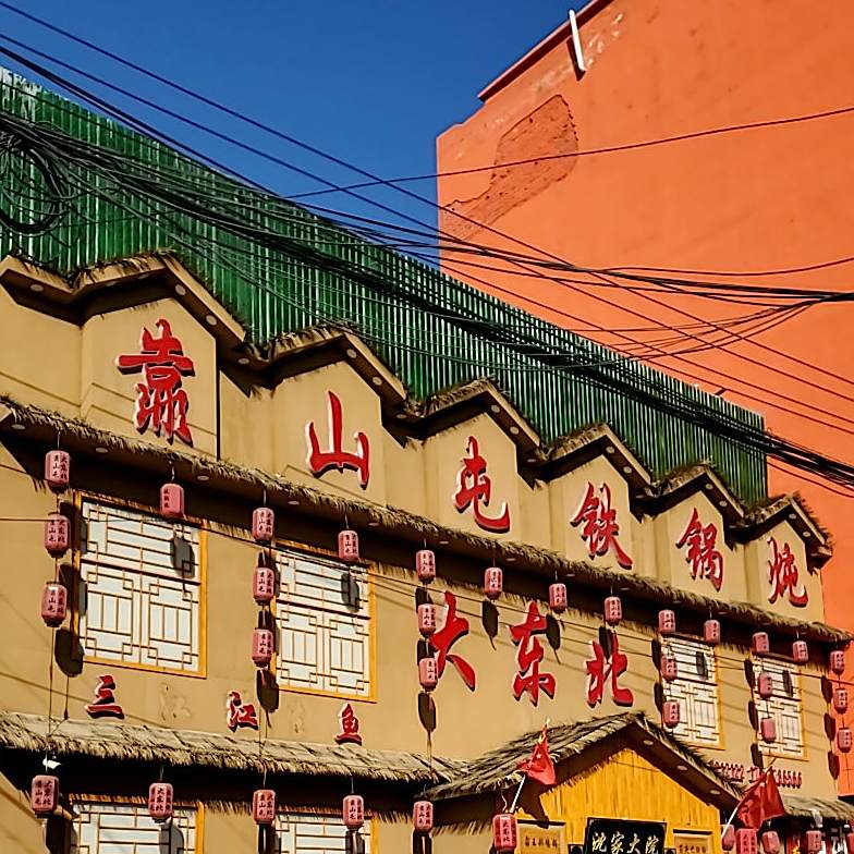 大东北靠山屯铁锅炖(靖远西路店)
